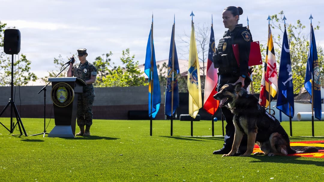 Military working dog Britt sitting at attention during his retirement ceremony at Marine Corps Base Camp Pendleton.