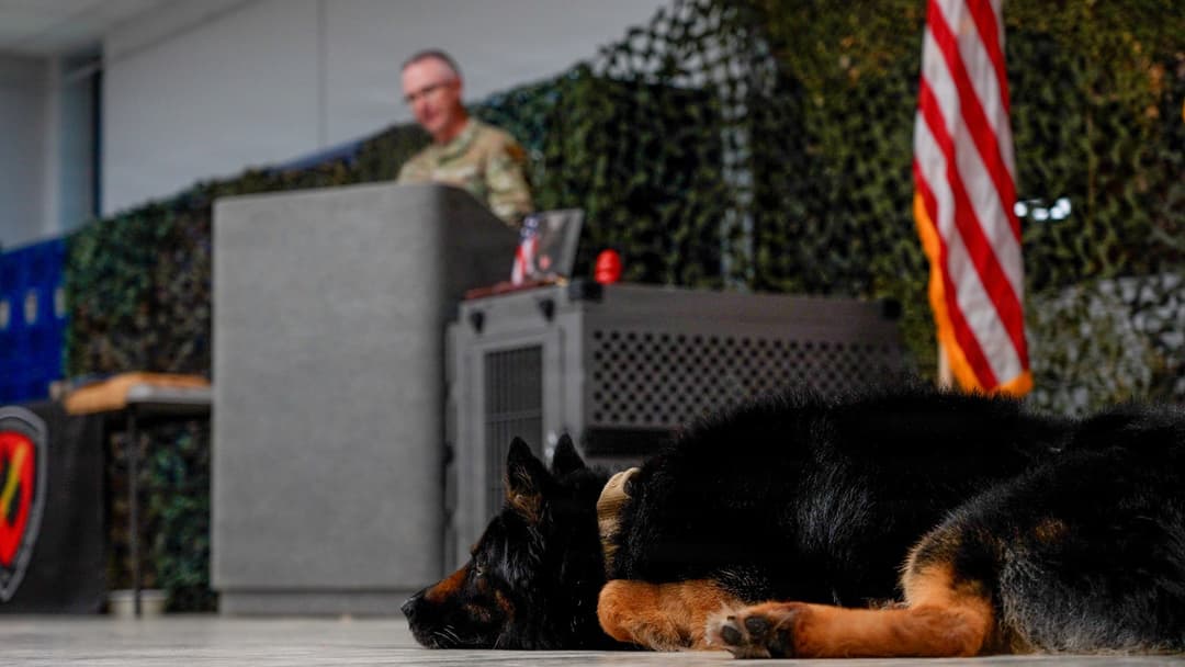 Military Working Dog Lukas listening during his retirement ceremony at Ellsworth Air Force Base.