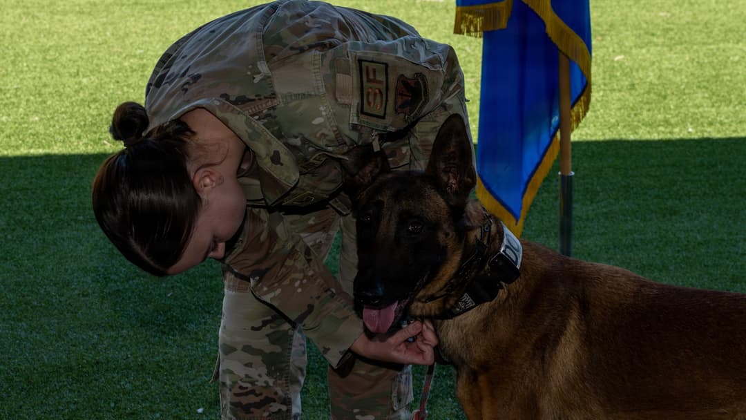 Staff Sgt. Abigayle Monroe pinning the Air and Space Achievement Medal onto Military Working Dog Aman.