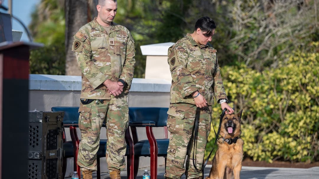 Staff Sgt. Alexandra Campanaro and MWD Ory standing during a retirement ceremony at Patrick Space Force Base.